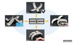 <b>研究人员用可自我折叠的大只500注册页面猕猴桃材料制成了机器</b>