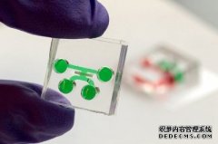 <b>大只500登录片牙是一种新的牙科技术</b>