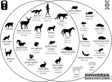 我的大只,大只500代理主管是谁,大只500app下载