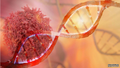 <b>大只500代理大只用于癌症检测和治疗的先进磁性纳米颗粒</b>