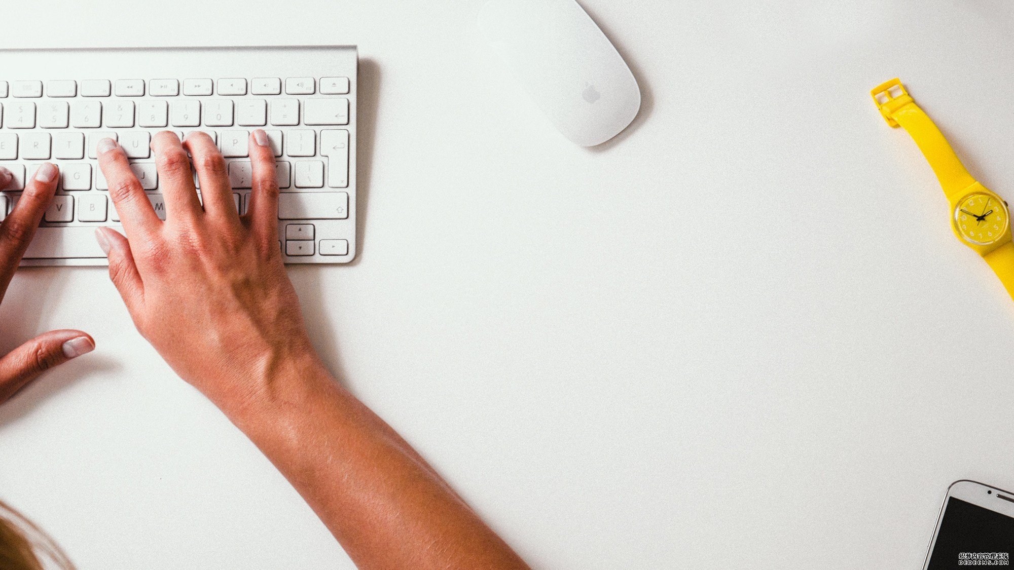 大只50,大只什么意思,金牌大只怎么注册