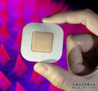 <b>大只500登录中心研究人员成功测试了硬币大小的智能胰岛素贴片</b>