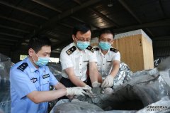 <b>金牌大只500注册_上海海关对企图蒙混过关的“洋垃圾”说“不”</b>